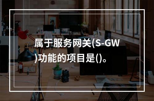 属于服务网关(S-GW)功能的项目是()。