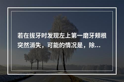 若在拔牙时发现左上第一磨牙颊根突然消失，可能的情况是，除了（