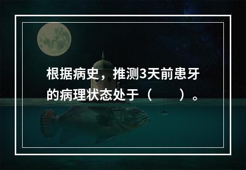 根据病史，推测3天前患牙的病理状态处于（　　）。