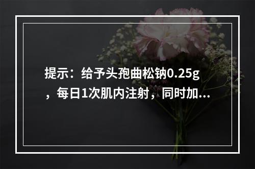 提示：给予头孢曲松钠0.25g，每日1次肌内注射，同时加用阿