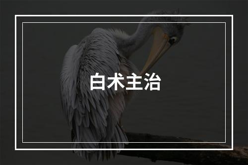 白术主治