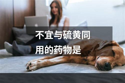 不宜与硫黄同用的药物是