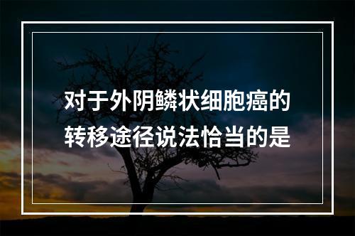 对于外阴鳞状细胞癌的转移途径说法恰当的是