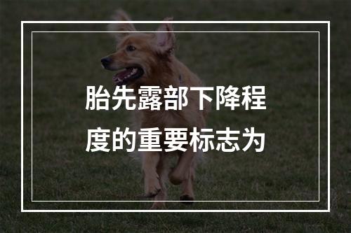 胎先露部下降程度的重要标志为