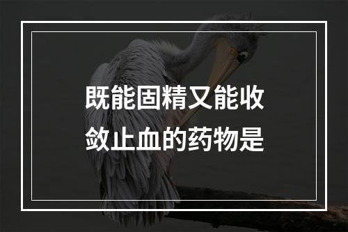 既能固精又能收敛止血的药物是