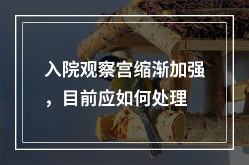 入院观察宫缩渐加强，目前应如何处理