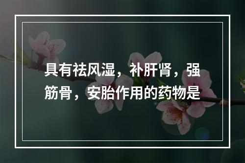 具有祛风湿，补肝肾，强筋骨，安胎作用的药物是