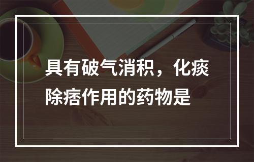 具有破气消积，化痰除痞作用的药物是