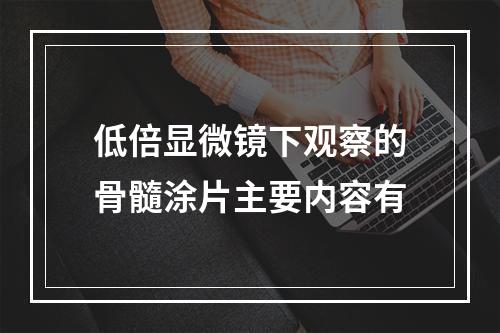 低倍显微镜下观察的骨髓涂片主要内容有