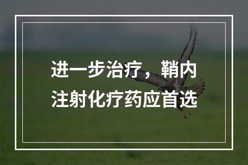 进一步治疗，鞘内注射化疗药应首选