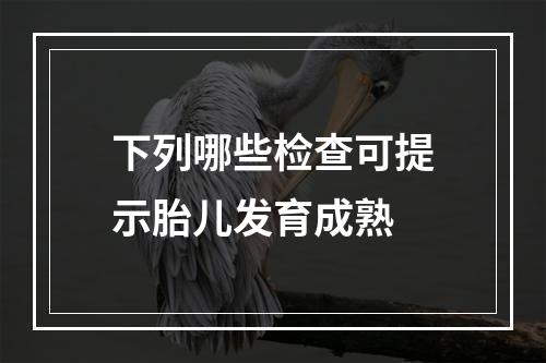 下列哪些检查可提示胎儿发育成熟