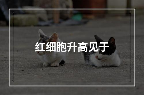 红细胞升高见于