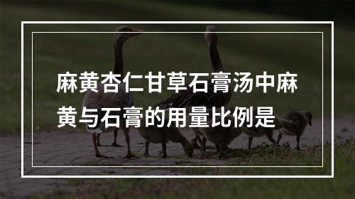 麻黄杏仁甘草石膏汤中麻黄与石膏的用量比例是