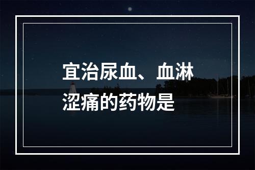 宜治尿血、血淋涩痛的药物是