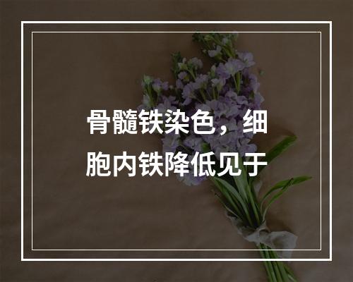 骨髓铁染色，细胞内铁降低见于