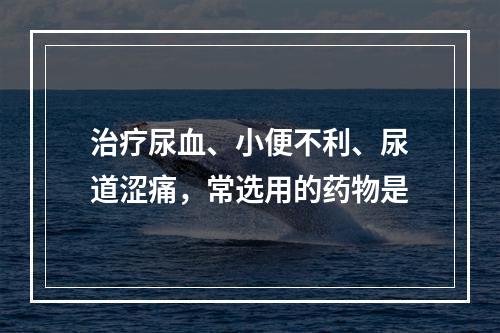 治疗尿血、小便不利、尿道涩痛，常选用的药物是