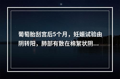 葡萄胎刮宫后5个月，妊娠试验由阴转阳，肺部有散在棉絮状阴影。