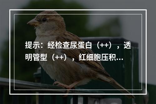 提示：经检查尿蛋白（++），透明管型（++），红细胞压积0．