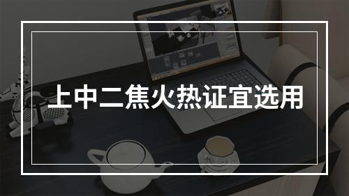 上中二焦火热证宜选用