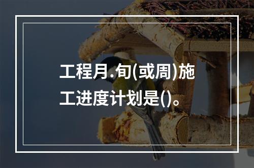 工程月.旬(或周)施工进度计划是()。