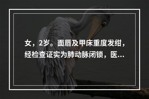 女，2岁。面唇及甲床重度发绀，经检查证实为肺动脉闭锁，医生建