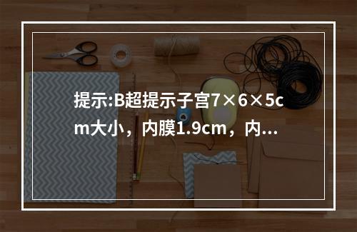 提示:B超提示子宫7×6×5cm大小，内膜1.9cm，内见位