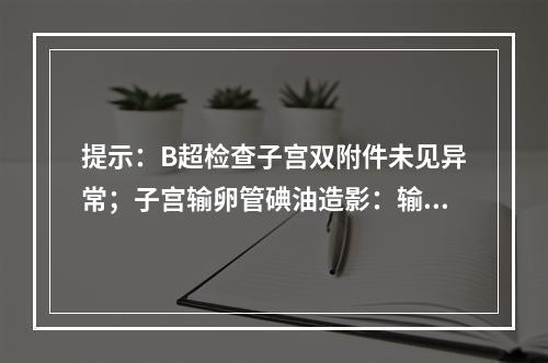 提示：B超检查子宫双附件未见异常；子宫输卵管碘油造影：输卵管