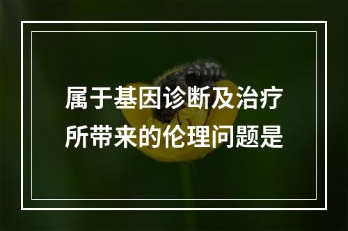 属于基因诊断及治疗所带来的伦理问题是