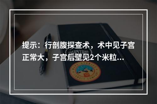 提示：行剖腹探查术，术中见子宫正常大，子宫后壁见2个米粒大紫