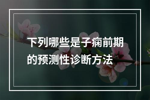 下列哪些是子痫前期的预测性诊断方法