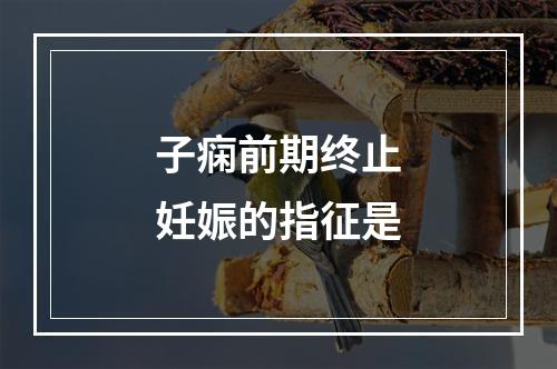 子痫前期终止妊娠的指征是