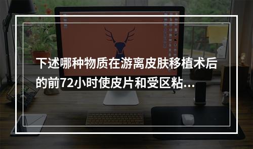 下述哪种物质在游离皮肤移植术后的前72小时使皮片和受区粘连？