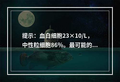 提示：血白细胞23×10/L，中性粒细胞86％。最可能的诊断