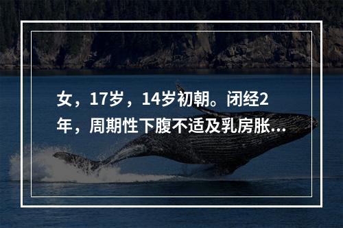 女，17岁，14岁初朝。闭经2年，周期性下腹不适及乳房胀，有