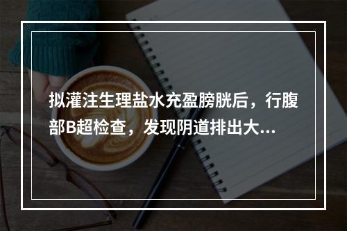 拟灌注生理盐水充盈膀胱后，行腹部B超检查，发现阴道排出大量血