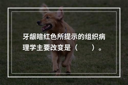 牙龈暗红色所提示的组织病理学主要改变是（　　）。