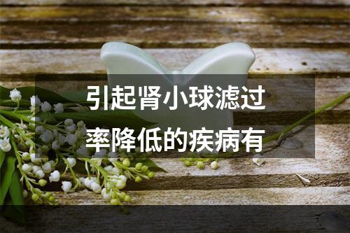 引起肾小球滤过率降低的疾病有