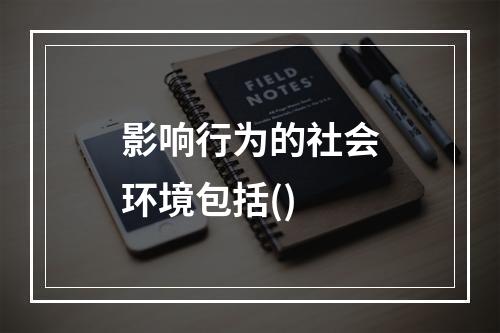 影响行为的社会环境包括()