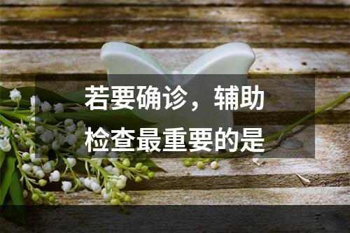 若要确诊，辅助检查最重要的是