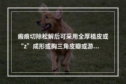 瘢痕切除松解后可采用全厚植皮或“z”成形或胸三角皮瓣或游离皮