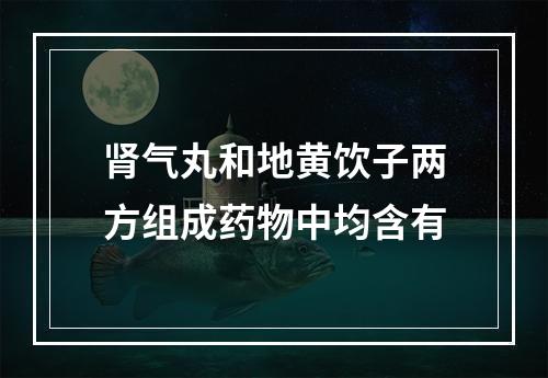 肾气丸和地黄饮子两方组成药物中均含有