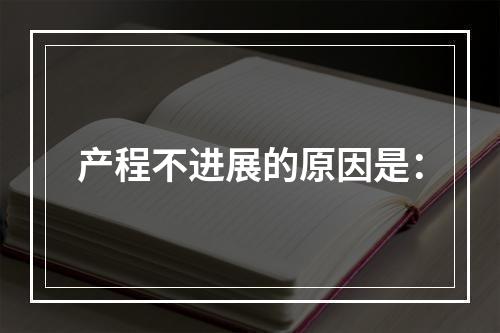 产程不进展的原因是：