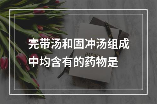 完带汤和固冲汤组成中均含有的药物是