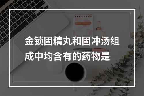 金锁固精丸和固冲汤组成中均含有的药物是