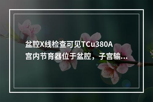 盆腔X线检查可见TCu380A宫内节育器位于盆腔，子宫输卵管