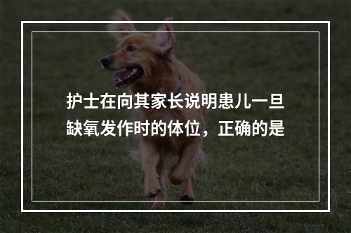 护士在向其家长说明患儿一旦缺氧发作时的体位，正确的是