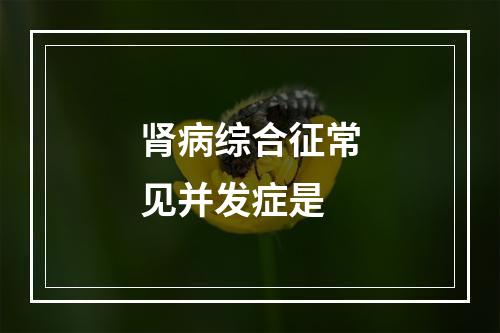 肾病综合征常见并发症是