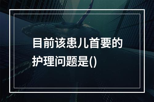 目前该患儿首要的护理问题是()