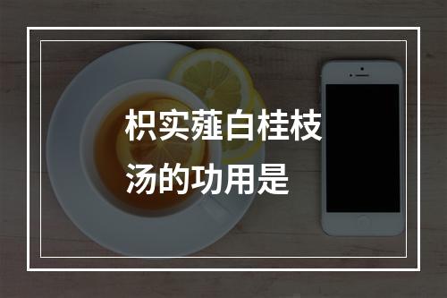 枳实薤白桂枝汤的功用是