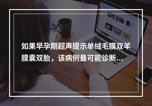 如果早孕期超声提示单绒毛膜双羊膜囊双胎，该病例最可能诊断为